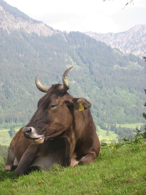 Ferienwohnungen Brunner Fischen im Allgäu Exterior foto